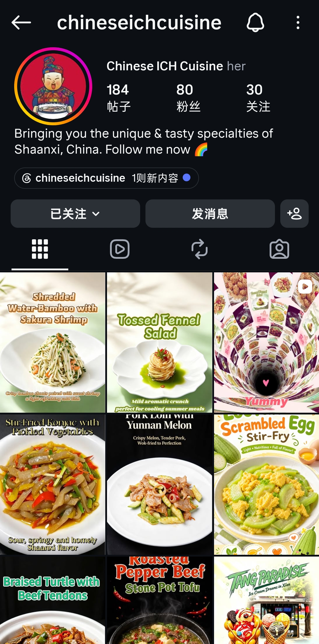 Instagram 账号主页截图