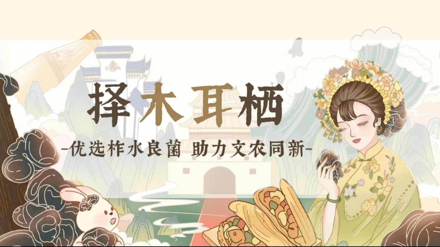 择木耳栖农产品 IP 化项目全景封面